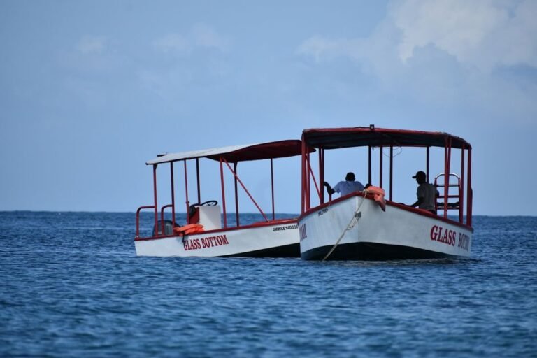 MUSA Snorkel & Glass-Bottom Boat Tour (Sample Listing)