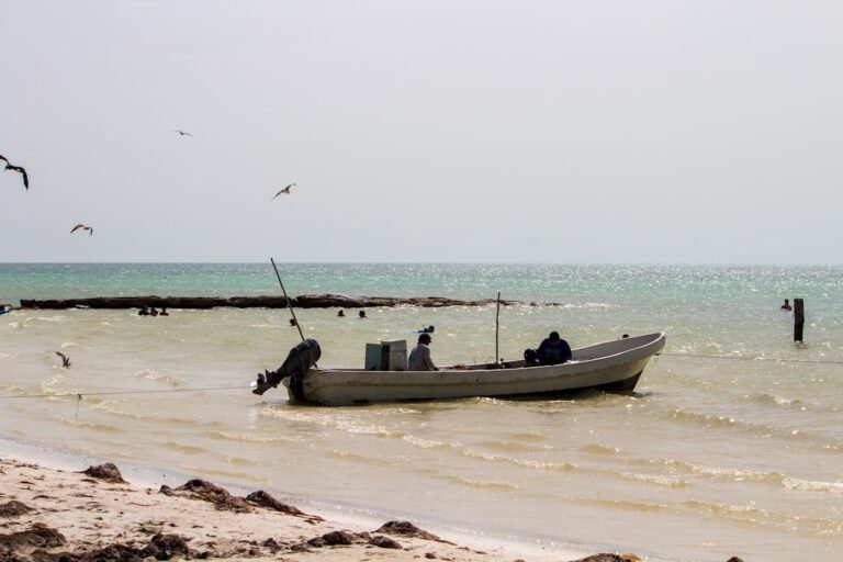 Holbox Island Day Trip (Sample Listing)