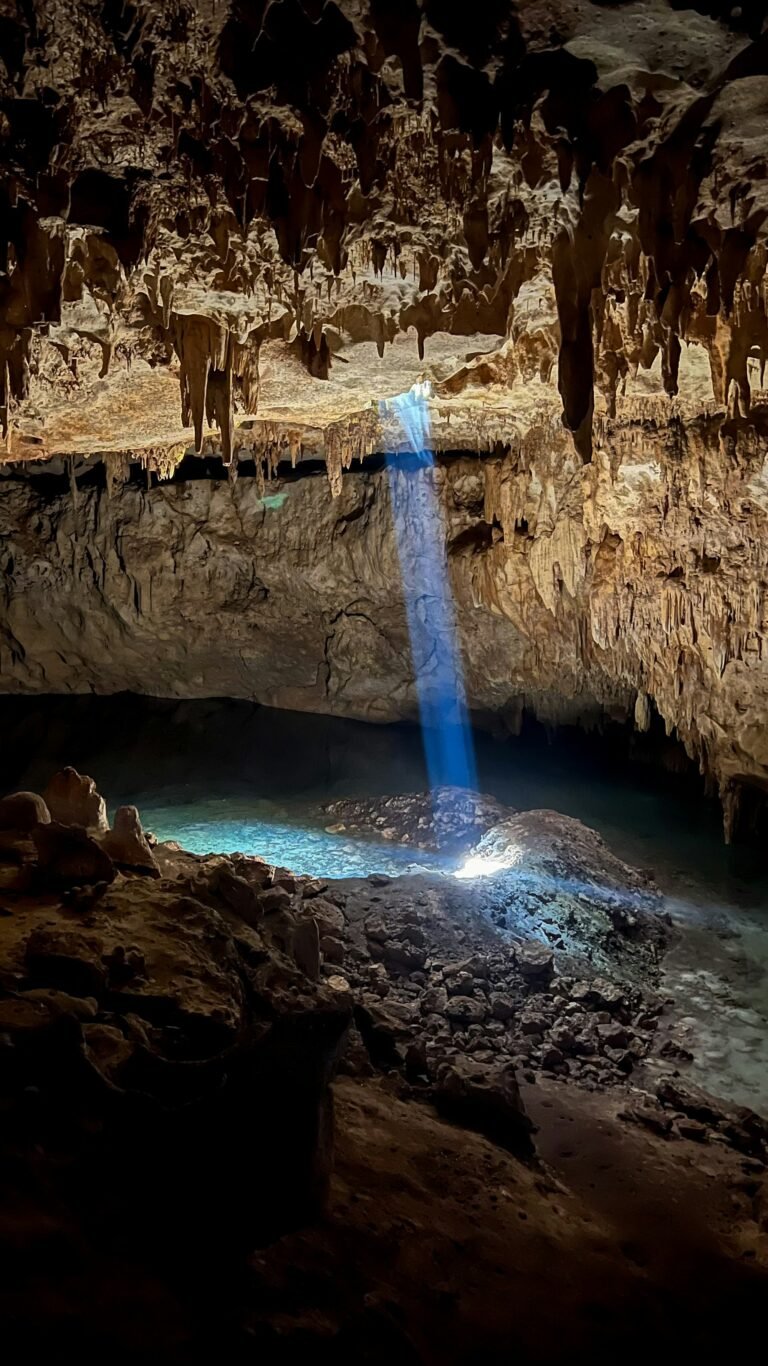 Cenotes Near Cancún: A Practical Guide to Visiting Mexico’s Underground Swimming Holes