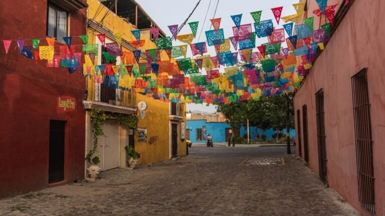 Downtown Cancún (Centro): Is This Hotel Area Right for Your Trip?