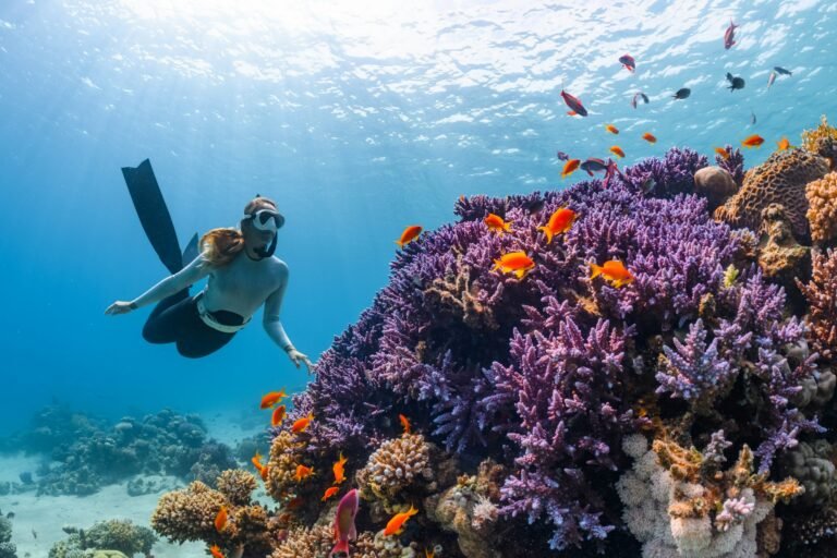 MUSA Underwater Museum: A Practical Guide for Cancún Visitors