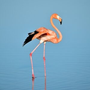 Culture & Nature Tours in Cancún: Ruins, Wildlife, and Local Life Without the Guesswork